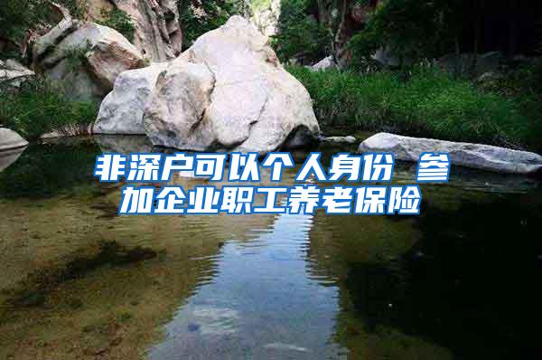 非深户可以个人身份 参加企业职工养老保险