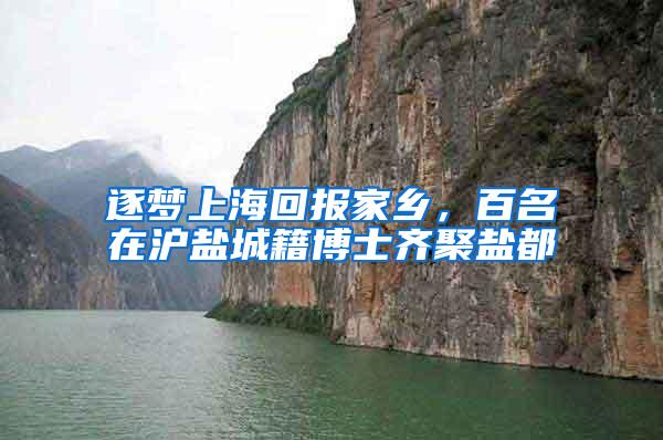 逐梦上海回报家乡，百名在沪盐城籍博士齐聚盐都