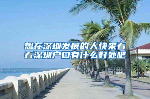 想在深圳发展的人快来看看深圳户口有什么好处吧
