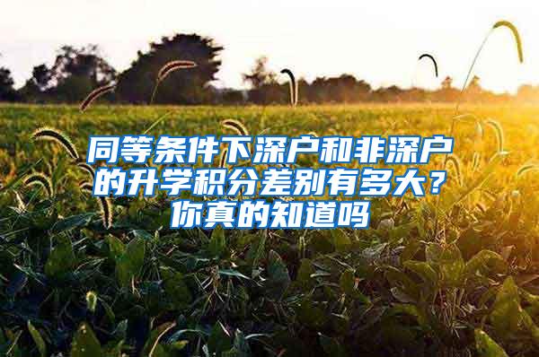 同等条件下深户和非深户的升学积分差别有多大？你真的知道吗
