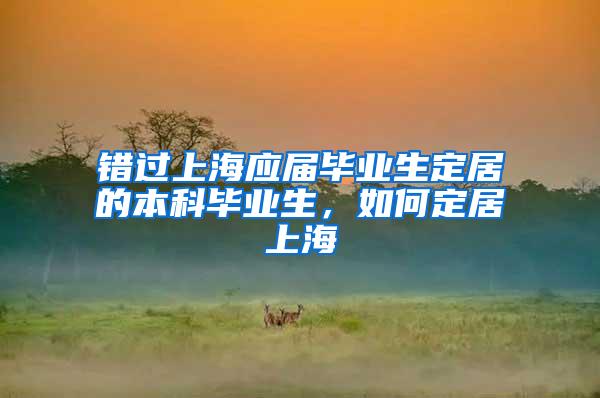 错过上海应届毕业生定居的本科毕业生，如何定居上海