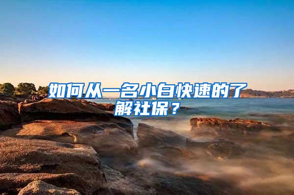 如何从一名小白快速的了解社保？