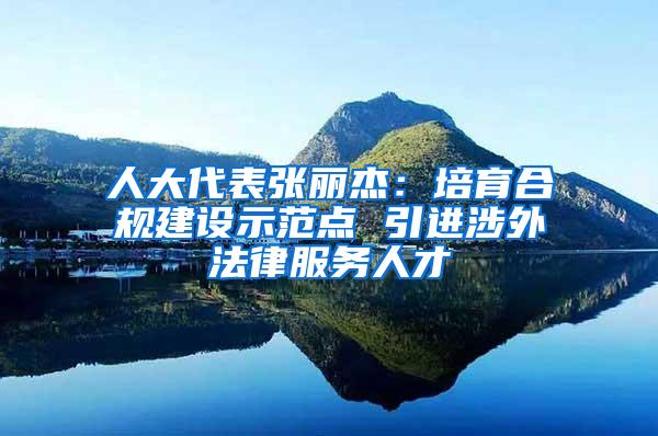 人大代表张丽杰：培育合规建设示范点 引进涉外法律服务人才