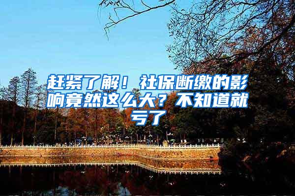 赶紧了解！社保断缴的影响竟然这么大？不知道就亏了