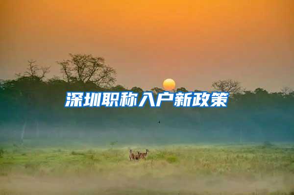 深圳职称入户新政策