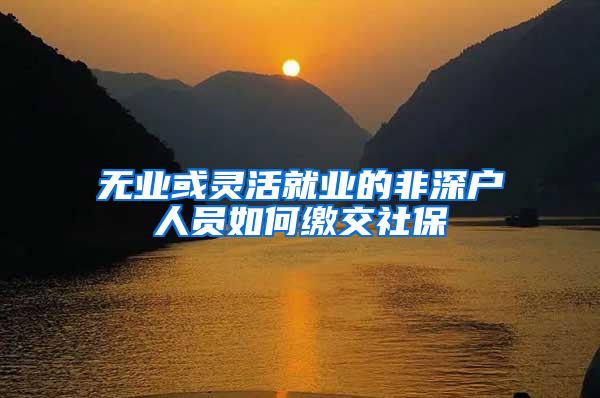 无业或灵活就业的非深户人员如何缴交社保