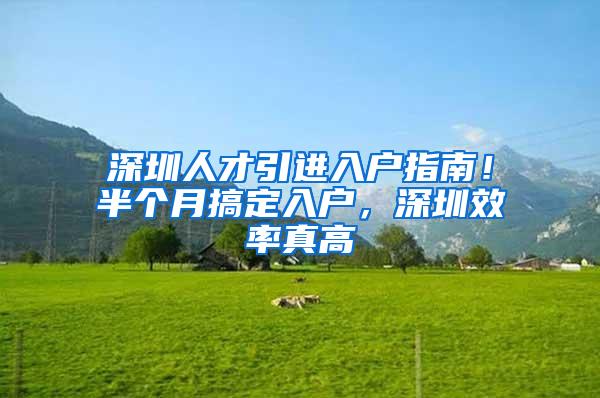 深圳人才引进入户指南！半个月搞定入户，深圳效率真高