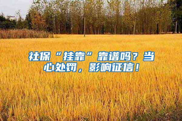 社保“挂靠”靠谱吗？当心处罚，影响征信！