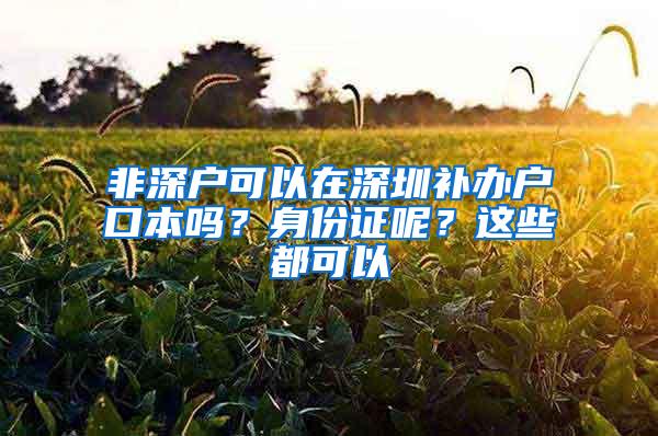 非深户可以在深圳补办户口本吗？身份证呢？这些都可以