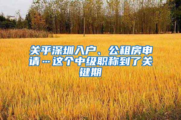 关乎深圳入户、公租房申请…这个中级职称到了关键期