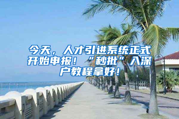 今天，人才引进系统正式开始申报！“秒批”入深户教程拿好！