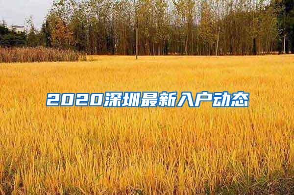 2020深圳最新入户动态