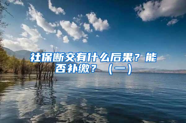 社保断交有什么后果？能否补缴？（一）