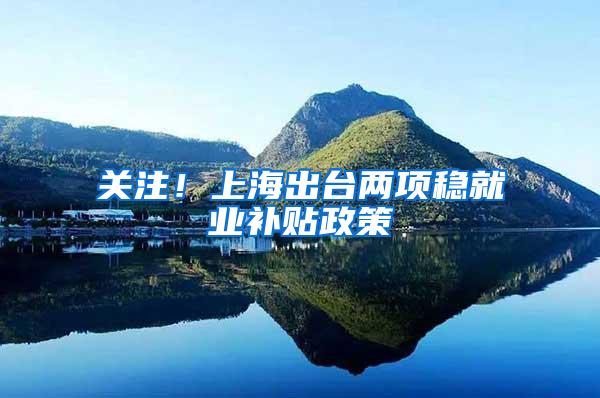 关注！上海出台两项稳就业补贴政策