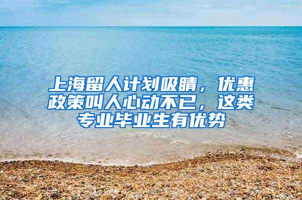 上海留人计划吸睛，优惠政策叫人心动不已，这类专业毕业生有优势