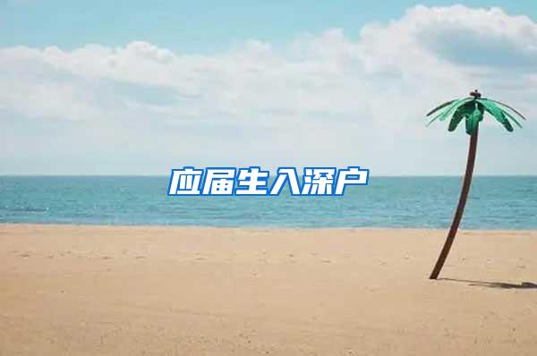 应届生入深户