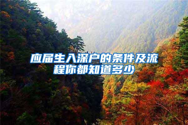 应届生入深户的条件及流程你都知道多少