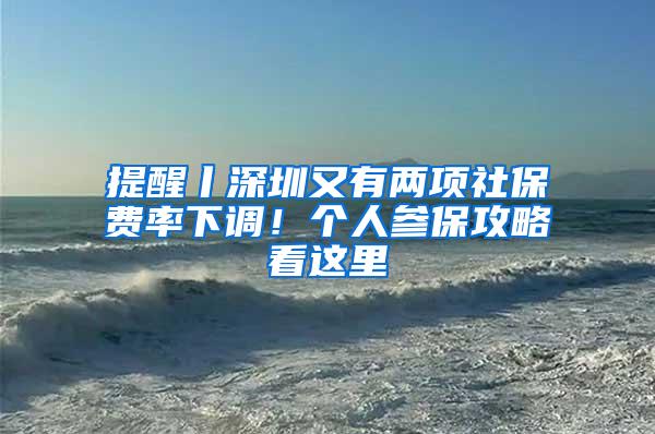 提醒丨深圳又有两项社保费率下调！个人参保攻略看这里