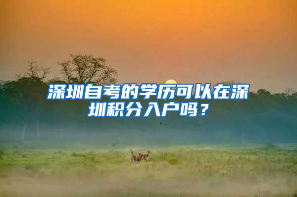 深圳自考的学历可以在深圳积分入户吗？
