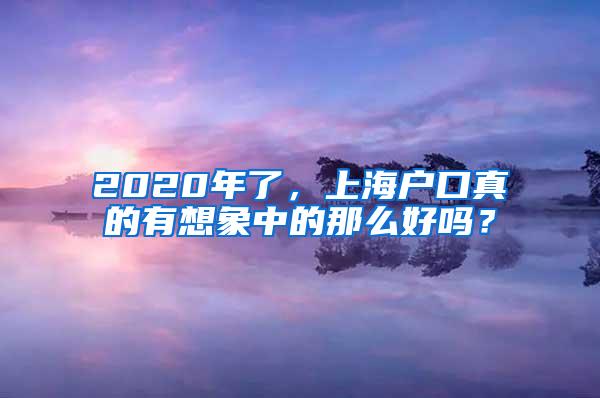 2020年了，上海户口真的有想象中的那么好吗？