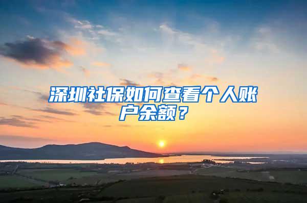 深圳社保如何查看个人账户余额？