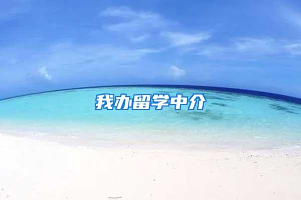 我办留学中介