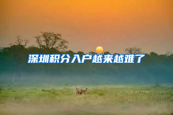 深圳积分入户越来越难了