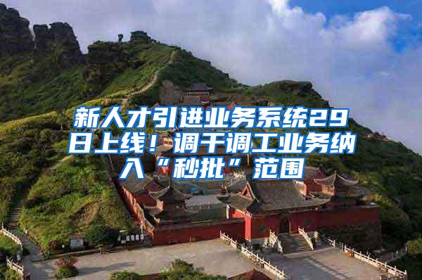 新人才引进业务系统29日上线！调干调工业务纳入“秒批”范围