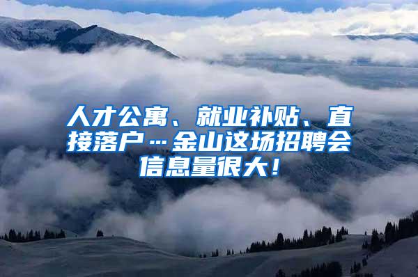 人才公寓、就业补贴、直接落户…金山这场招聘会信息量很大！