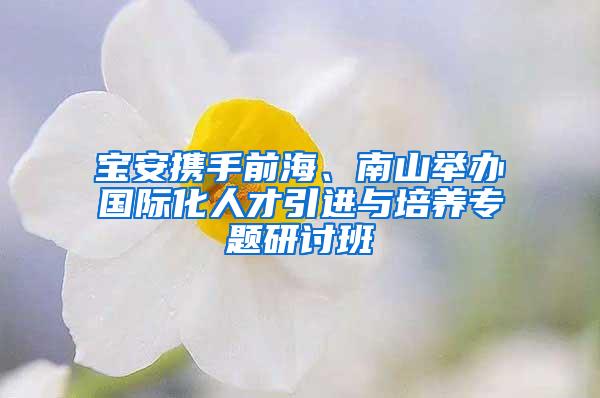 宝安携手前海、南山举办国际化人才引进与培养专题研讨班