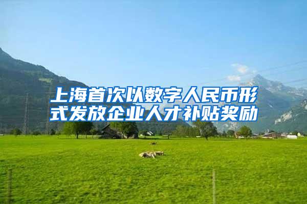 上海首次以数字人民币形式发放企业人才补贴奖励