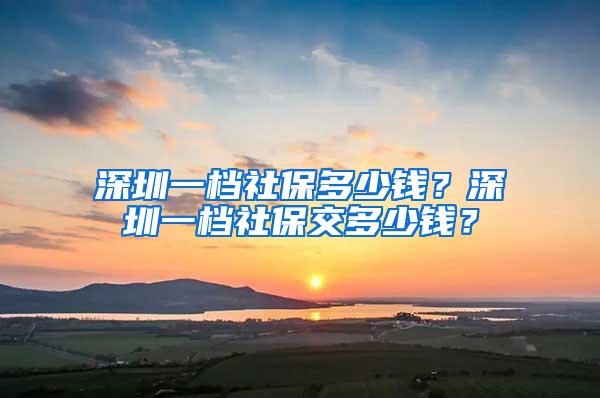 深圳一档社保多少钱？深圳一档社保交多少钱？