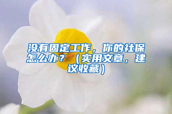 没有固定工作，你的社保怎么办？（实用文章，建议收藏）