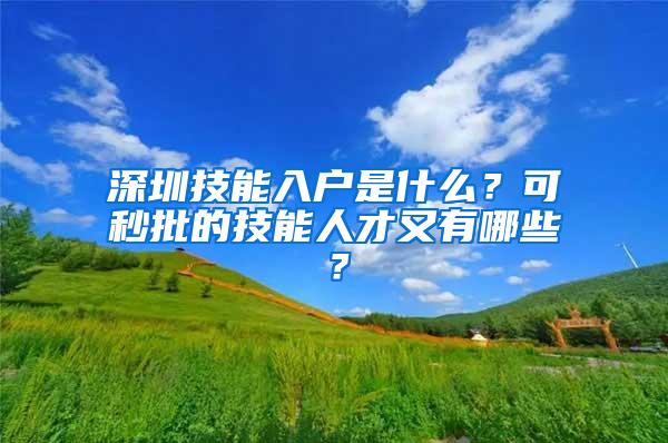 深圳技能入户是什么？可秒批的技能人才又有哪些？