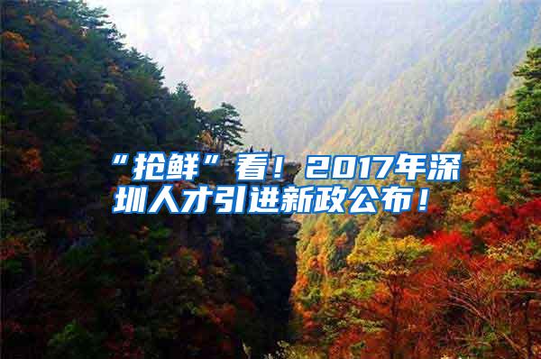 “抢鲜”看！2017年深圳人才引进新政公布！