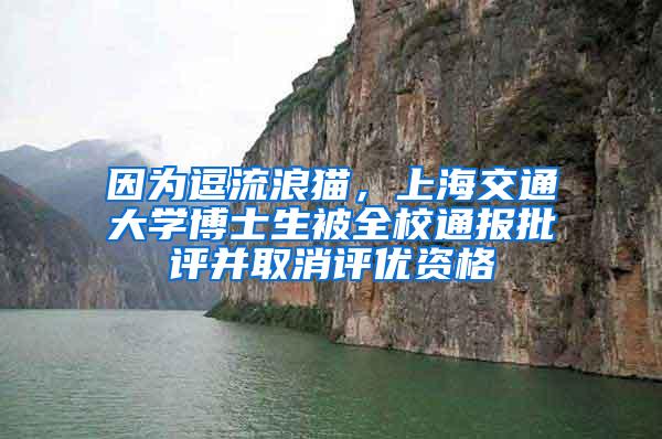 因为逗流浪猫，上海交通大学博士生被全校通报批评并取消评优资格