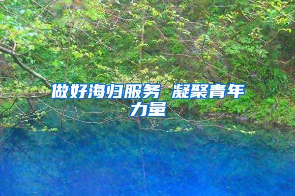 做好海归服务 凝聚青年力量