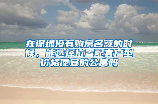 在深圳没有购房名额的时候，能选择位置配套户型价格便宜的公寓吗