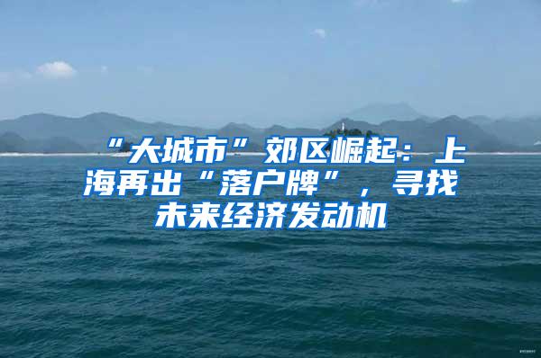 “大城市”郊区崛起：上海再出“落户牌”，寻找未来经济发动机