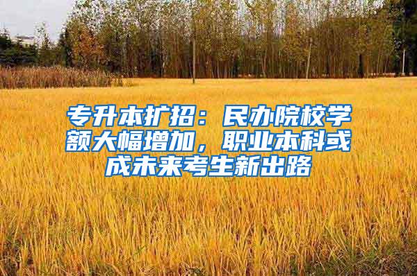 专升本扩招：民办院校学额大幅增加，职业本科或成未来考生新出路