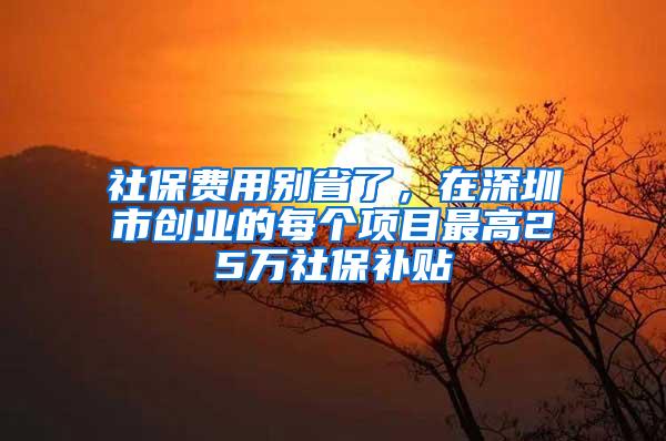 社保费用别省了，在深圳市创业的每个项目最高25万社保补贴