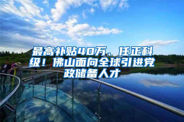 最高补贴40万、任正科级！佛山面向全球引进党政储备人才