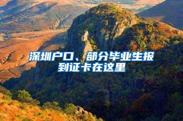 深圳户口、部分毕业生报到证卡在这里