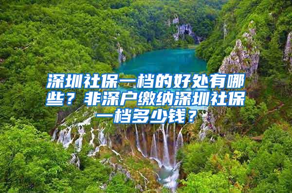 深圳社保一档的好处有哪些？非深户缴纳深圳社保一档多少钱？