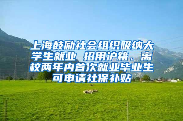 上海鼓励社会组织吸纳大学生就业 招用沪籍、离校两年内首次就业毕业生可申请社保补贴