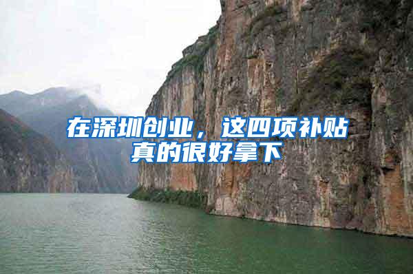 在深圳创业，这四项补贴真的很好拿下