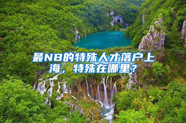 最NB的特殊人才落户上海，特殊在哪里？