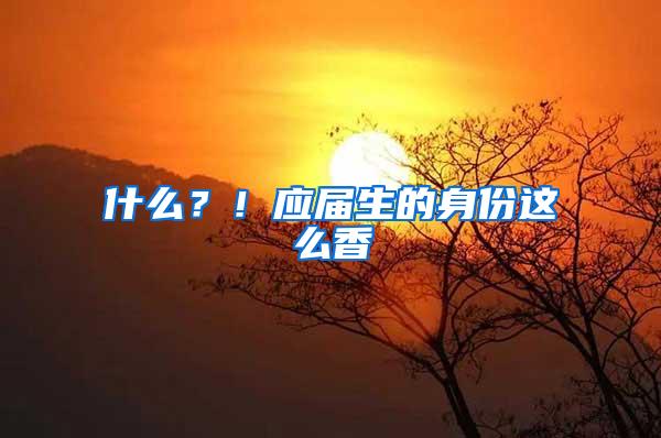 什么？！应届生的身份这么香