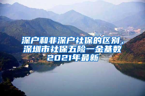 深户和非深户社保的区别，深圳市社保五险一金基数2021年最新
