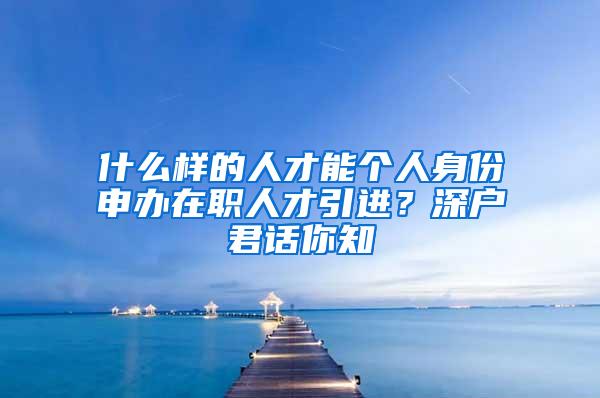 什么样的人才能个人身份申办在职人才引进？深户君话你知
